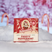 Dr. Squatch Frosty Peppermint Bar Soap