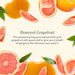 Beekman Honeyed Grapefruit Lotion