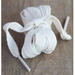 Flag Ribbon for Inspirational Letter Flags
